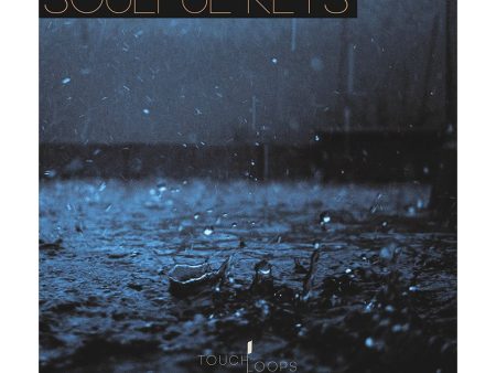 Touch Loops Soulful Keys Sample Pack Discount